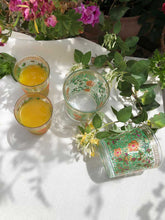 Load image into Gallery viewer, Set of 6 Drinking Glasses Clear Hand Painted Garden Design