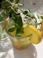 Load image into Gallery viewer, Set of 6 Drinking Glasses Clear Hand Painted Garden Design