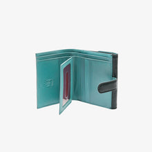 Load image into Gallery viewer, Siam | Indexer Wallet