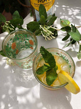 Load image into Gallery viewer, Set of 6 Drinking Glasses Clear Hand Painted Garden Design