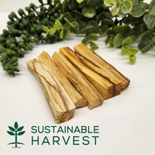 Load image into Gallery viewer, Palo Santo Sticks 0.5 kg(1.1 lbs), 3-4" Long