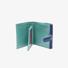 Load image into Gallery viewer, Siam | Indexer Wallet