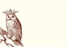 Load image into Gallery viewer, Royal Snowy Owl A6 Notes
