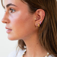 Load image into Gallery viewer, Two Tone Reversible Enamel Huggie Hoop Earrings
