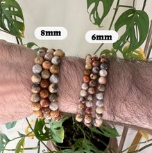 Load image into Gallery viewer, Crazy Lace Agate Bracelet 8mm or 6mm - Crystals &amp; Stones
