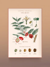 Load image into Gallery viewer, World of Coffee Puzzle
